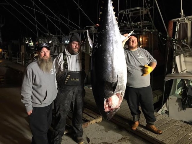Congrats to Dale Lisi and the Foolish Pleasures Big Game Fishing on the end of their bluefin season! Click https://bitly.com/ to book them for an Ocean City, MD charter!

Papa's Pilar | #PapaWouldBeProud | #AdventureSeries | #Endorsed | #FishWithTheBest