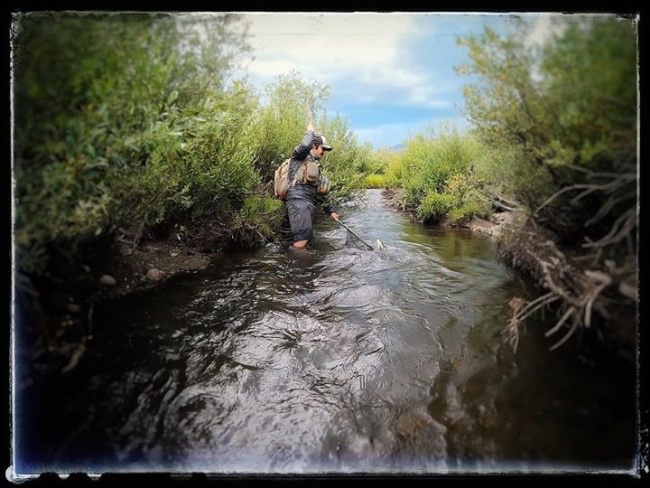 CREAKING- The summer monsoons have helped the quality of fishing tremendously, especially the high alpine watersheds. We have been having an absolute blast sneaking up the river casting dries to rising fish.
<•><•><•><•><•>
#flyfishing #newmexico #colorado #newmexicotrue #catchandrelease #stoked #sendit #trout #nature #monsoon  #love #life #outside #keepemwet  #summer #dryflyfishing
<•><•><•><•><•>