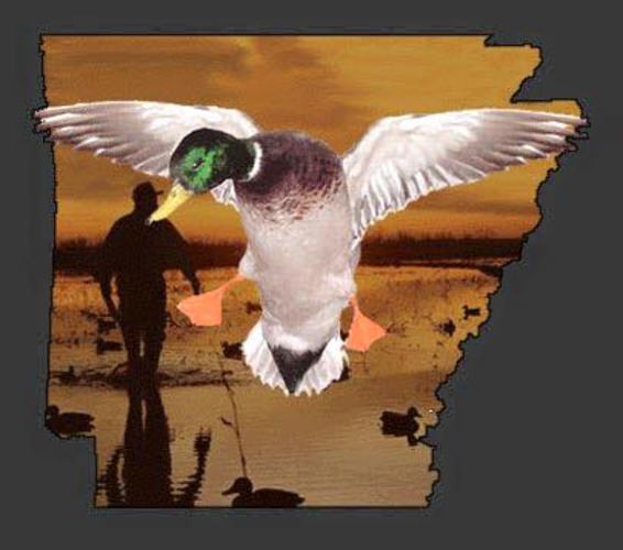 Rivers Edge Treestands
Barronett Blinds
XtremeDucks Game Calls
Here ya go folks! Here is your chance to hunt with the best guide in the business on some of the best property in the USA for deer/duck/geese. Racknine Outdoors offers fully guided hunts in Missouri that includes lodging, food and the best stands ever built. We use Rivers Edge stands and Barronett Blinds so that you can be comfortable for those long hours of hunting that trophy deer. Prices for hunts are some of the best you can find anywhere and we offer deer-duck combo hunts. Call Terry Garrett or Ryan Efird today to set up your hunt.