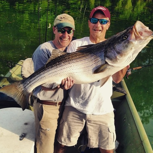 Nice Striper! Checking in at 48" & 45 lbs. #Fishing #Striper #TN #OneMoreDay #FinandField