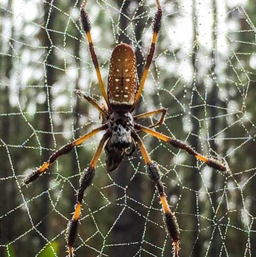 It happens to the best of us! Fin & Field and the stars of Till Death Do Us Part want to know about the last time you scared away all the game! 

Enter the Book with the Best Giveaway (http://bit.ly/2xgc1I2) to win a $5000 booking credit that you can use with any of the endorsed partners on Fin & Field!

#TillDeathWednesday | Till Death Do Us Part | CarbonTV | Daniel Lee Martin | Julie Mcqueen | #FishWithTheBest | #HuntWithTheBest