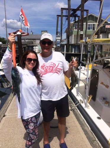 Jennifer and David did a 4 hour inshore trip with us this morning.  Tons of small blues continue to be available on the troll, and sea bass are on some of the shallower wrecks, but fluke fishing has been difficult for us,  The Riptide B&T baits cut from squid tubes caught best today.  We had sea bass up to 17".