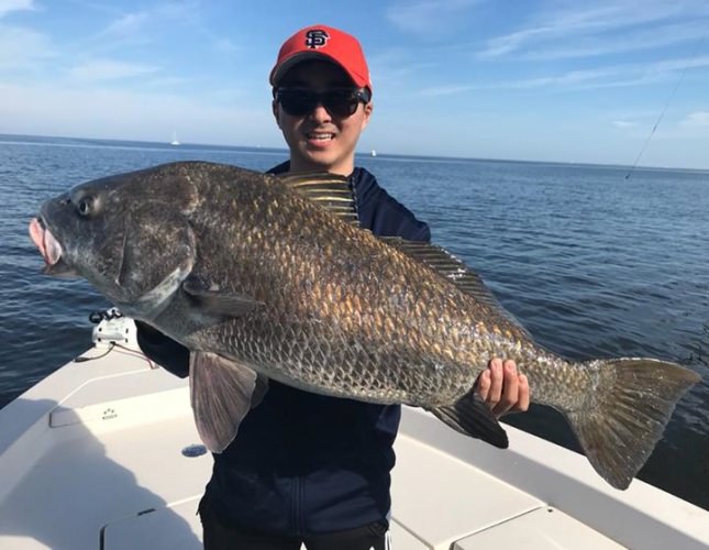 Josh and his family got their Christmas presents early and absolutely crushed the drum today! #blackdrum #portcanaveral #slightlyobsessed #getslobbed #deepseafishing #nearshorefishing #inshorefishing #fishingcharters #tarpon #blackdrum #flatsfishing #spacecoast #florida #mbgboats #maverickboats #pathfinderboats #fishthelegend #minnkotamotors #yeticoolers #rcioptics #powerpole #suzukioutboards