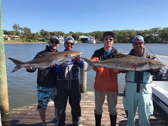 Slob City Charters (https://bit.ly/2q6vBoB) is on red hot cobia fishing!