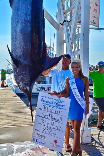Angler Scott Poppell with his 1st place Blue Marlin at Emerald Coast Blue Marlin Classic. #Fishing #EmeraldCoast #BlueMarlin #Adventure #FinandField #SharkWeek