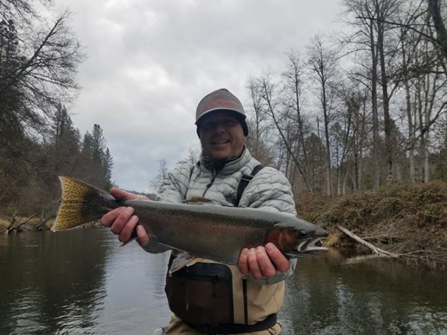 Another great day on the Trinity with not a boat or bank angler in site. Found quite a few steelhead willing to eat the fly and managed to even get a few to the net, including a burly 32"er.

As Ive stated in the past and I'll state it again
"Be The Report, Don't Believe The Report"

Plenty of fish to go around, dress for the weather, present a good fly and you will be well rewarded.

If you missed out on my last few available dates of 2017, 2018 is just around the corner with a few dates left in Jan and opening up in Feb. 

It's winter time folks and there is big fish to be had.

Time to get bent
Tight Lines 
Brian

#norcalflyguides #norcalflyfishing #norcal #trinityriver #steelhead #steelheadfishing #tugisthedrug #bethereportdontbelievethereport #allabouttheclient #jaydicator #hammerdown #seewhatsoutthere #keepumwet #catchandrelease #repyourwater #findyourwater Fly Fishing Specialties Off the Hook Fly Fishing NRS Fishing Pro-Loks LLC Indian Creek Lodge