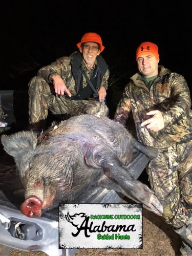 Mmmmmmm, bacon! Racknine Outdoors LLC (http://bit.ly/2v7mu9k) is ready to book you on a hog, deer, or turkey hunt in 2018.