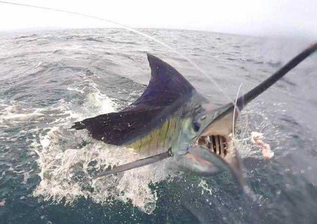 Wake Up and plan your next #Fishing or #Hunting adventure at www.finandfield.com. #DreamBig2016 #FindYourNextAdventure #FinandField