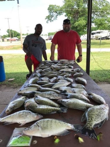 Milo and Tommy  showing off our big catch out of Lake Eufaula that's 80 crappie threw back a lot of fish for next year. post spawn bite is 🔥 I also used some hair jigs.  I have to say most were caught on #lakeforktackle. but it was fun catching them on a hair jig as well.  caught them on Brown and chartreuse. water temp 75 to 76 this is my favorite bite of the year. Thanks for fishing with D&K Guide service.