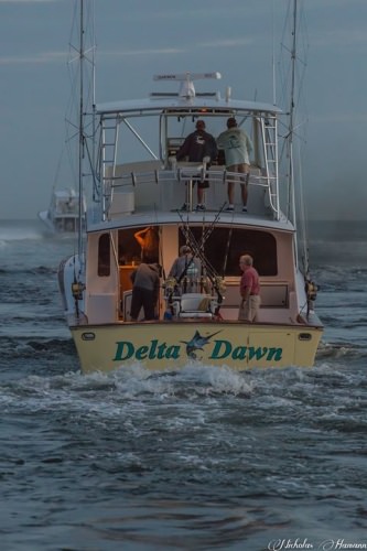 Will the Sea Toy's 690# Blue Marlin hold up? 20 boats fishing day 3 of the 24th Hatteras Village Offshore Open. Check their website for up to the minute hook-ups and releases! hvoo.org

 #Fishing | #BlueMarlin | #Hatteras | #Adventure | #FinandField