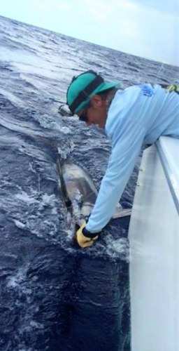 Key West Fishing Report - Southpaw Fishing Key West is a great experience for any angler. Book your Key West fishing adventure at Fin & Field. 

#KeyWest | #Fishing | #Southpaw | #FinandField