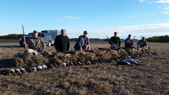 Limiting out in Saskatchewan! #Mallards #Pintails #Geese #Hunting #FinandField #Marauder