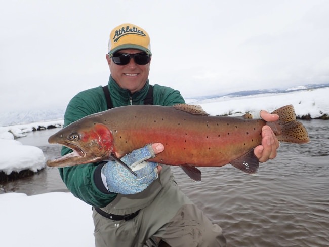 Nothing like spring time Cutthroat fishing in Cali. #Fishing #Snow #California #FinandField