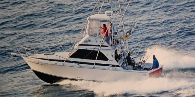 Ed the Beard from Foolish Pleasures Big Game Fishing of Wicked Tuna OBX fame is partnered up with Stealing Paradise for fishing out of Ocean City, Maryland. Book your fishing adventure at Fin & Field. #EdtheBeard #Fishing #OCMD #WickedTuna #OBX