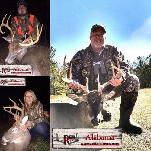 We have a few South Alabama Rut Hunts available. Message us, Call us +1 (706) 998-4023 or visit our website www.rack9outdoors.com #racknine #ruthunts #southalabama #deer #chasingwhitetails