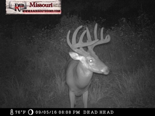 Symmetry is a beautiful thing!!! Like, Share, & Tag a friend if you agree!!! #racknine