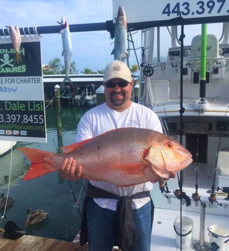Fishing is good down in the Florida Keys!
Our friends at Foolish Pleasures Big Game Fishing are catching a bit of everything running out of the Postcard Inn Beach Resort & Marina in Islamorada. #Fishing #TheKeys #Islamorada #FoolishPleasure #FinandField