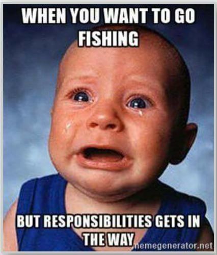 Don't you just hate it?