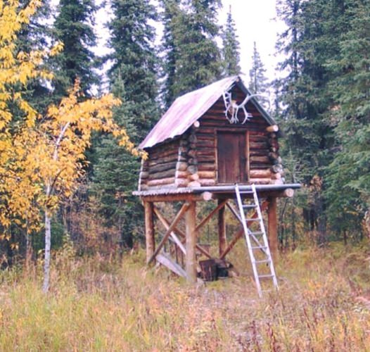 Would you stay in this? How long? Find You Next Adventure at Fin & Field. #FYNA #Adventure #FinandField #Hunting #Fishing