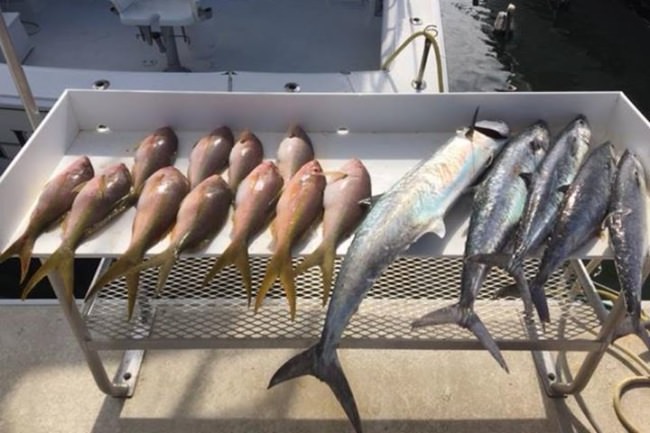 How many smiles did Southpaw Fishing Key West (http://bit.ly/2nk7DSB) put on their clients face today? A LOT!
