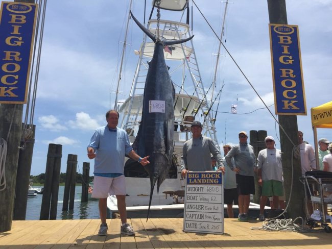 1st fish was a 680lbs blue marlin at The Big Rock Blue Marlin Tournament. Way to go VIKING 62. Will it stay in 1st place? #Fishing #BigRockTournament #Marlin #FinandField