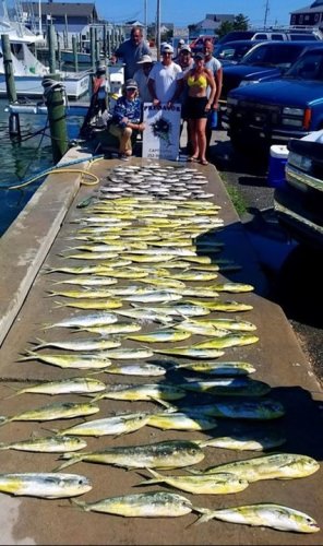 Dock full for Predator Sport Fishing out of OBX. 
#BookATrip #GoFishing #PredatorSportFishing #OBX #FinandField