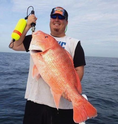 One happy angler! How heavy do you think this snapper was? #FinandField #FnF #Fishing #Adventure #Snapper