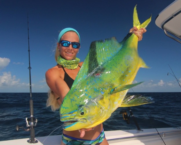 What is for dinner? Fish Taco! #Fishing #FinandField #Mahi #Adventure
