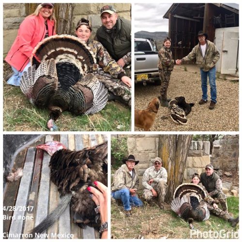 I would like to say thank u to PAC-N-Horns. My son won a turkey hunt in February at NWTF. We went 4/28/2017.
They was such great people my husband decided he would hunt also. My son and husband both tagged out the first day. Yes 4 big toms in one day. We had a guide named John. He made us feel like family. My son just loved him. I can say he done his job well but , my son and husband made a great friend.  The owner James was great too. It came a snow and he made sure the fire stay hot so we never got cold in the cabin. They cooked great home cooked meals for us. They made us feel like we was at home hunting. A lot of tails and laughter. They sure know how to make it fun. I know they will see us again. If u are not sure about a hunt call them.