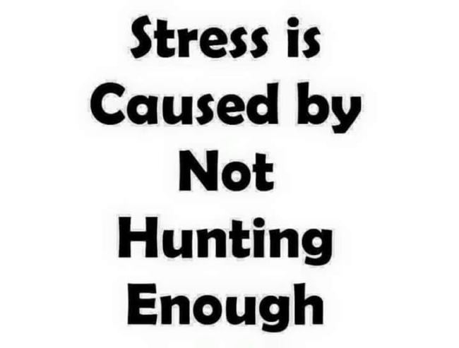 Absolutely!!!
#racknine