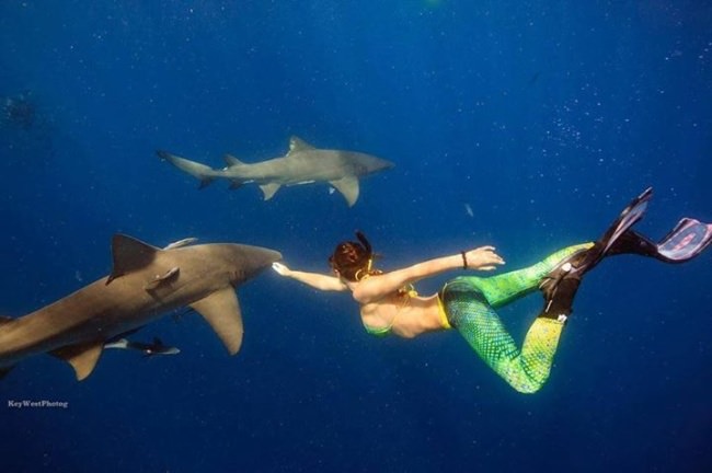 Kicking off Shark Week!  @islandbaby4life free diving with a few. PC: Hunter Ledbetter 
#SharkWeek #Adventure #PelagicGirl #FinandField
