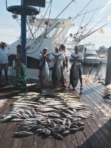 Looks like great fishing. 3 big eye 35 mahi 36 sea bass 56 tiles and a barrel fish! #FIshing #OCMD #FinandField