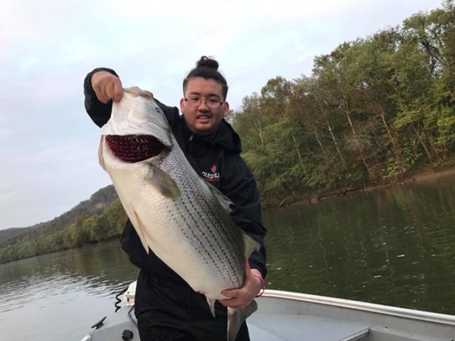 Quick post!!  Cumberland River strikes again!!  Huge Striper!  Major fight then released to fight another day!  All on video. JJ Belware in the photo, his largest fish ever!!  More to come

Captain Jim Durham

931-403-2501