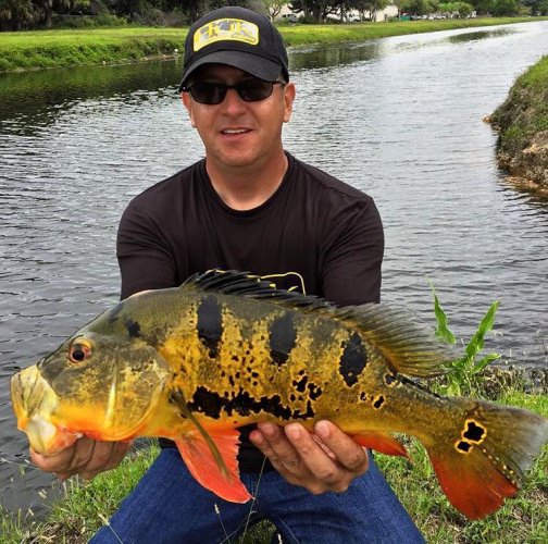 Is a peacock bass on your bucket list? #Fishing #Adventure #FinandField