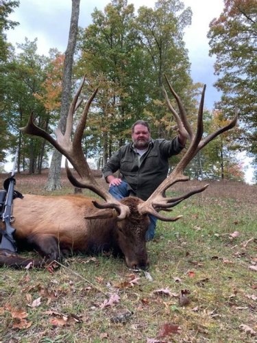 Who would love to hunt a beast like this? Check out Wilderness Hunting Lodge in #TN. #Hunting #Adventure
