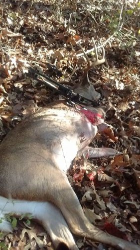 Put an arrow in this 11pt in NW Arkansas yesterday!