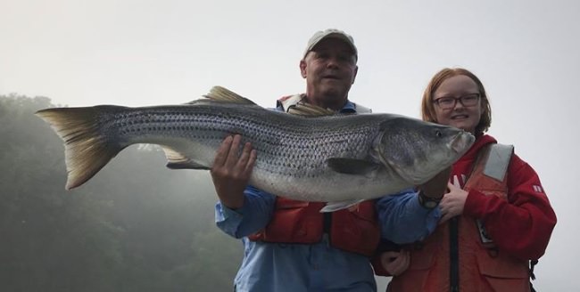Greetings to all my friends and readers!  I had the great pleasure yesterday of taking Officer Cristian Casper (of KY Fish & Wildlife) and his daughter Hanna on a Cumberland River adventure down in TN!  Armed with big Trout, we were after monster Striper and the river did not disappoint!  We had a four fish day, topped off by Cristian catching a huge 54 -inch massive Striper as well as a nice 36-inch fish.  Hanna also equated herself well with her largest fish of all time, reeling in a nice Striper all by herself!  She is quite the fisher girl and a great lure caster as well!

Video coming!  Enjoy the photos! Come see us: https://www.striperfun.com/book-a-charter/ or call us at 931-403-2501!

Blue Skies and tight lines!
Captain Jim Durham