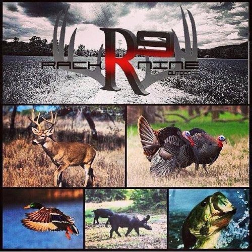 Looking to plan a hunt in the up coming seasons? Deer, turkey, hog, ducks or geese? Well we offer all of these species to you at affordable prices that include lodging, meals and full guide service. You can hunt deer, turkey and hog on our Alabama lease and in Missouri you can hunt deer, turkey, geese and ducks. Contact Terry Garrett to book your next hunting experience.