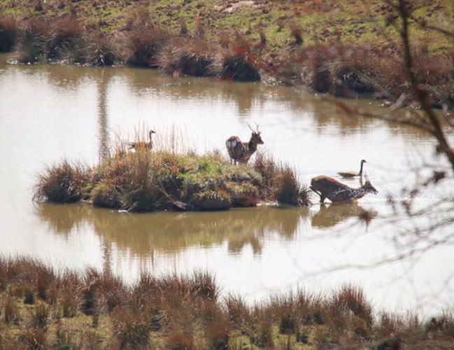 Wilderness Hunting Lodge (http://bit.ly/2ozuXj4) is excited for spring...and for good reason! It is an awesome place to check off something major on the bucket list.