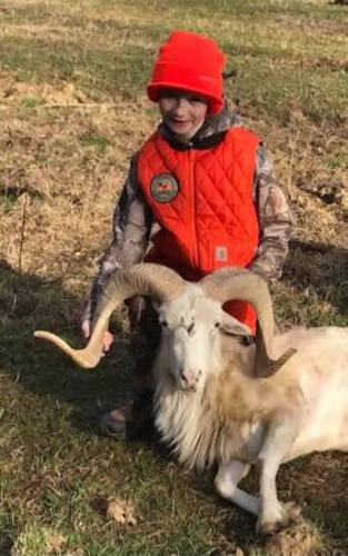 This kid is already a repeat customer with Wilderness Hunting Lodge (https://bit.ly/2ozuXj4), this year he got two awesome rams! (Corsican and Texas dall)
