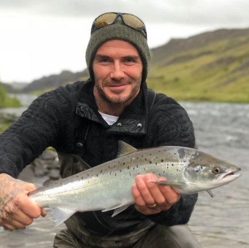 David Beckham has been know to catch a few!
#CelebritiesWhoFish #FamousSportsmen #Outdoors #Fishing #FinandField