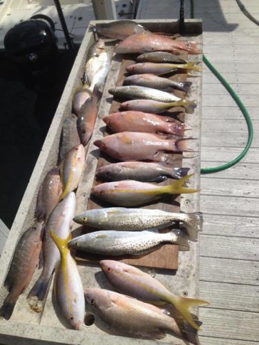 Need a break? Go to the Keys. And while you are there, fish with Dirty Waters Charters (Capt. Lain Goodwin). You will be treated to the most fun Everglades fishing available!

http://bit.ly/2qGxJQw 

#Fishing | #KeyLargo | #Evergaldes | #RedFish | #Snook | #SeaTrout | #Permit | #Snapper