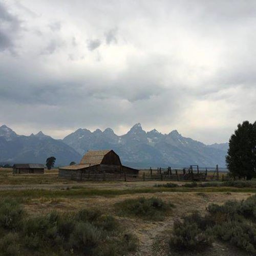 Adventure is calling! Book your hunting or fishing trip at www.finandfield.com. #DreamBig2016 #FindYourNextAdventure #FinandField