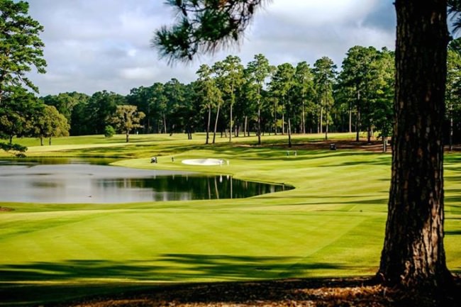 This is the Sunday morning view at Bluejack National. Actually, pretty much any day that ends in "y" looks like this here. 

Enter the Golf and Fishing Vacation Giveaway (http://bit.ly/2ybIazJ) on Fin & Field for a 4 night stay, golf for you and your buddies, a whole bunch of fishing, and more!

#BluejackMondays
