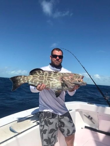 Brower Fishing Charters on the Buzz On (http://bit.ly/2mt82Wj) is catching plenty of sailfish, but when the bite gets slow the reef is always waiting! Lots of good smiles and good eats on the reef!