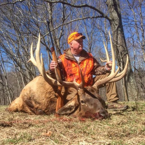 Check out this recent bull taken while hunting with Wilderness Hunting Lodge (http://bit.ly/2ozuXj4)!
