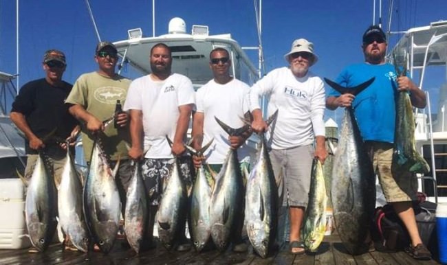 Tuna fishing is R E D hot & No Quarter Sportfishing has openings on July 17, 26, and 31!  Don't miss your chance to fish with Capt. Kyle Peet! Call 855-504-4895

#Fishing | #NoQuarter | #OceanCity | #FinandField