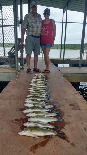 Don lake and his fiance catching some really nice size white bass out of Eufaula. Caught around 50 they just wanted the big ones.  trolling is productive all summer long.