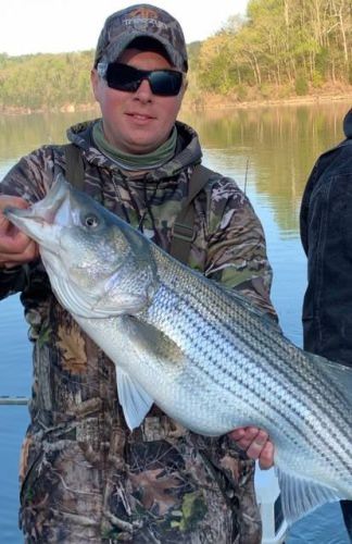 Click here to go to the new StriperFun Laurel Dam Trace page: https://striperfun.com/laurel-dam-trace/

As I mentioned recently. StriperFun Guide Service is now offering Striper Charters services on the “cold” trace waters that flow out of the Laurel Lake Dam into the Cumberland River.  

CLICK THE ABOVE LINK TO GO TO THE NEWLY CREATED LAUREL DAM TRACE PAGE TO LEARN ABOUT PRICING AND TO SEE PHOTOS AND AN INFORMATIVE VIDEO!

Our Striper guide on the Laurel Dam Trace Allen Turner has years of experience catching these huge fish that abound in the cold trace waters from the Laurel dam into the Cumberland River.   The average fish is usually around 13 pounds but larger Stripers are not uncommon. Most excitingly, on many days there is a great “top water” bite as well!

Call 931-403-2501 to book a trip with StriperFun on this exciting Striper fishery in Eastern KY!  Don’t delay!  Get in ahead of the crowd!

Captain Jim Durham