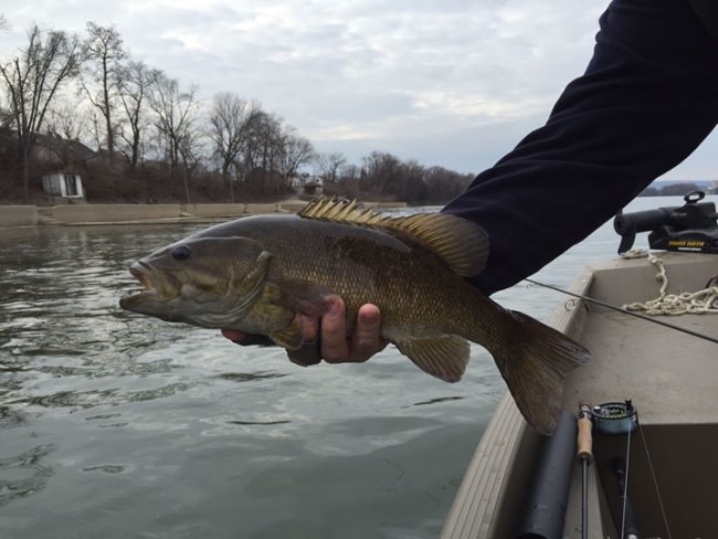 The pre-spawn bite has been very good the last few weeks, and before you know it the warm water fishing season will be upon us. Now is the time to finish getting your gear in order and finish tying up your favorite smallie flies. Susquehanna River Guides fishes some of the best sections of the Susquehanna and Juniata Rivers for smallies. Dont wait to book your trip with us, There still some prime dates open. Give us a call or email.